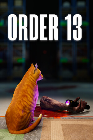 ORDER 13 — обложка игры