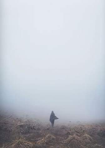 Not in Heaven — обложка игры