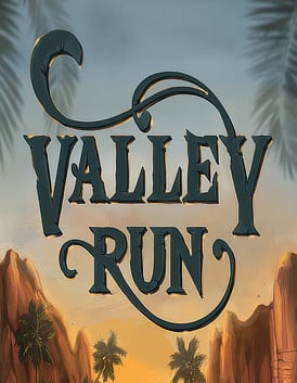 Valley Run — обложка игры