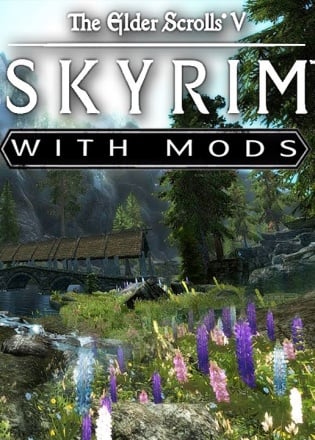 The Elder Scrolls V: Skyrim Special Edition – MarkMk2 Modpack — обложка игры