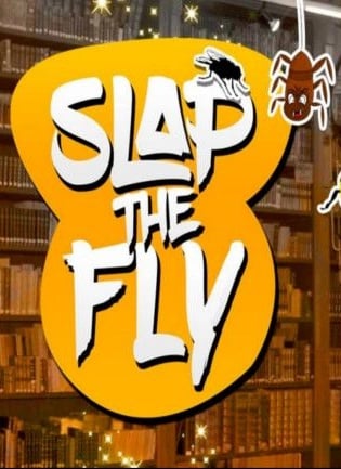 Slap The Fly — обложка игры