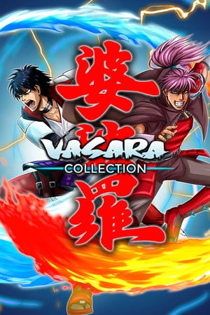 VASARA Collection — обложка игры